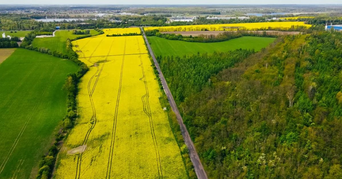 Jak znaleźć najlepsze oferty wyjazdowe na wiosnę?
